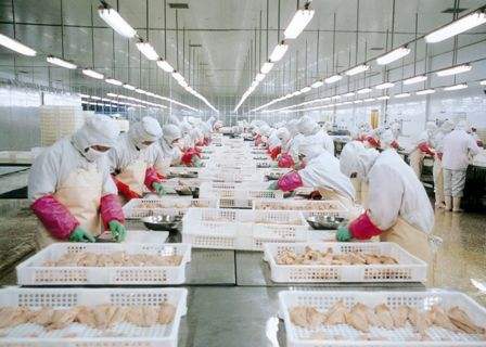 食品厂净化.jpg 食品厂净化.jpg